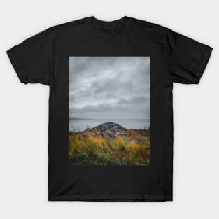 Path to the Serene Water of the Sea V2 T-Shirt